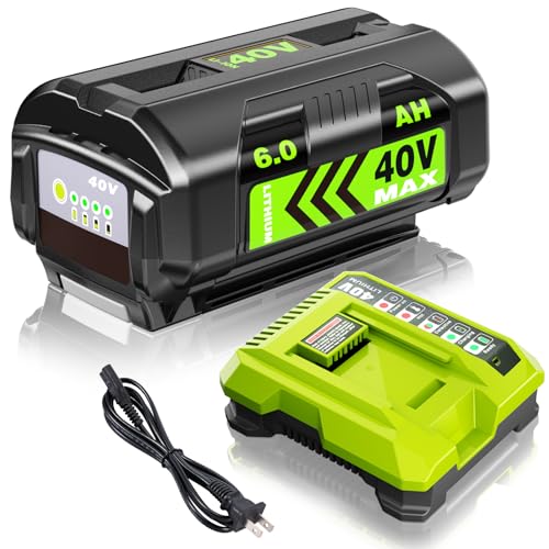 6.0Ah Battery and Charger Replace for Ryobi 40V Battery