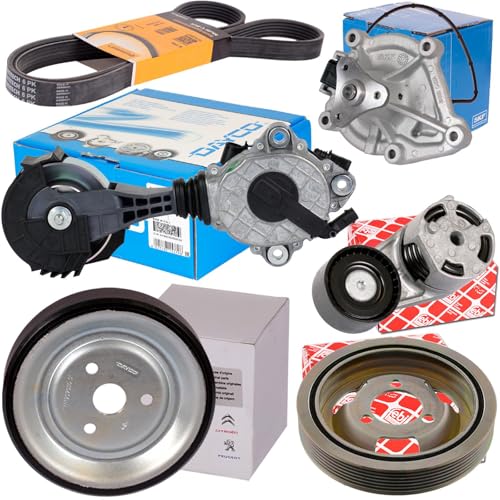 BandelOne enthält DAYCO Spannarm+SKF Wasserpumpe Spanner + Riemen passend für 1er F20 3er F30
