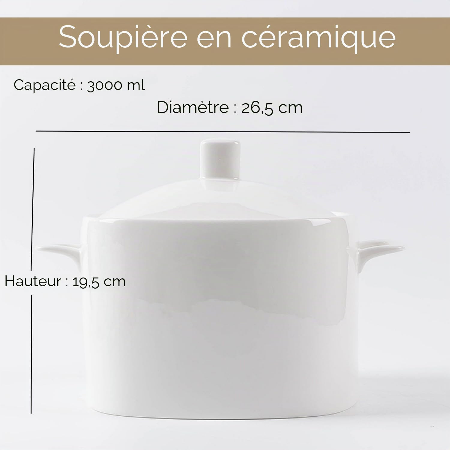 Tureen - Soupe en porcelaine d'os avec couvercle et louche, grand bol en céramique de 3 000 ml avec couvercle pour fête, salle à manger, décoration de la maison, passe au micro-ondes