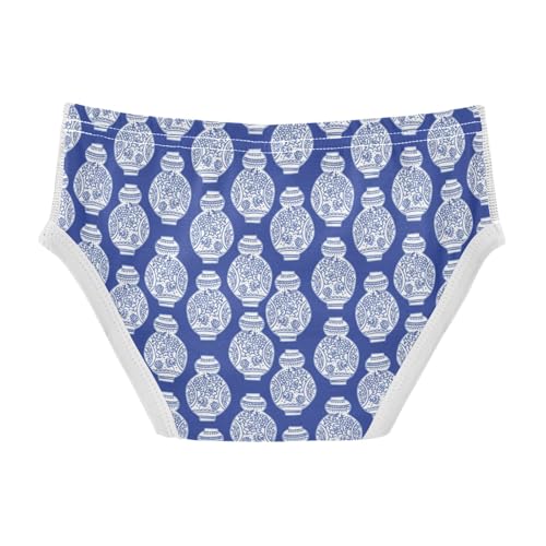Boys' Exclusive Briefs Toddler Underwear 95% Combed Cotton Boxerbriefs 2T Blue and White Vase Pattern 82