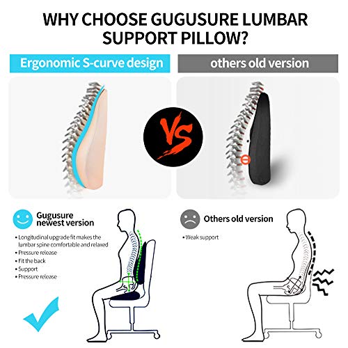 Gugusure Lumbar Support for Office Chair, Memory Foam Back Cushion with Breathable Mesh Cover for Car Seat,Orthopedic Backrest for Low Back Pain Relief