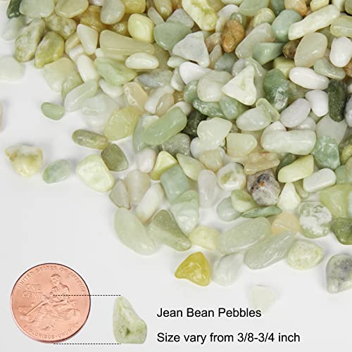 Gaspro 5 Pound Pebbles For Indoor Plants, 3/8 Inch Decorative Rocks For Bamboo, Vase, Succulents, Highly Polished And Smooth Surface, Jade #TOP1