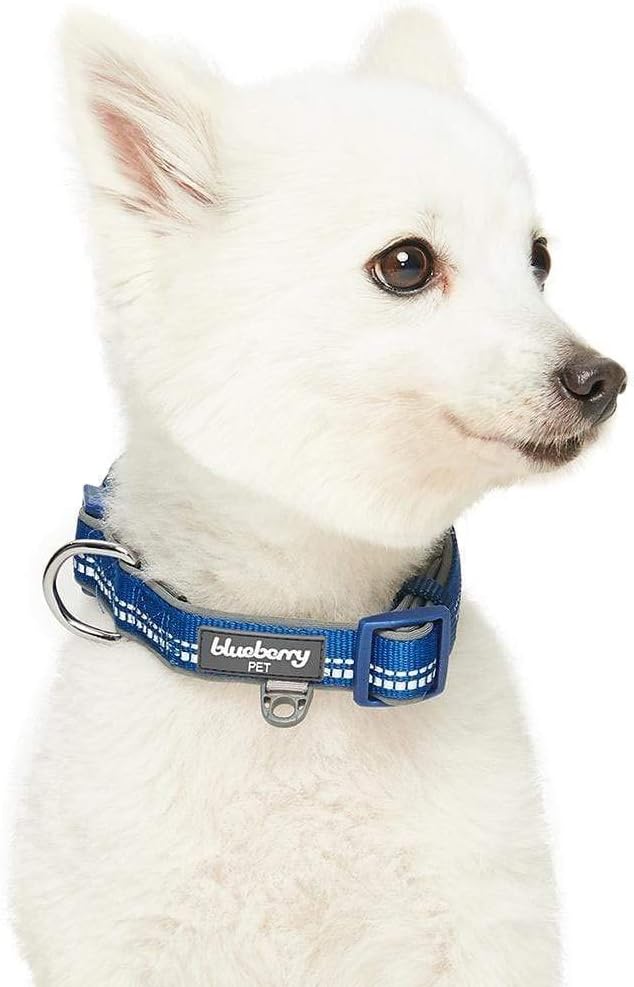 Blueberry Pet Soft & Comfy 3M Reflective Pastel Color Padded Dog Collar, Navy, Small, Neck 30cm