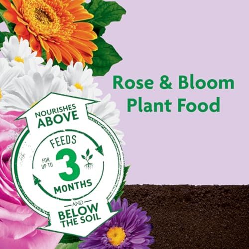 Image of Miracle-Gro Shake 'N Feed Rose & Bloom Plant Food, 4.5 lb