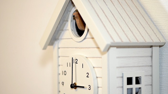 Amazon.com: Cuckoo Clock Japanese Handcrafted Solid Wood Pendulum