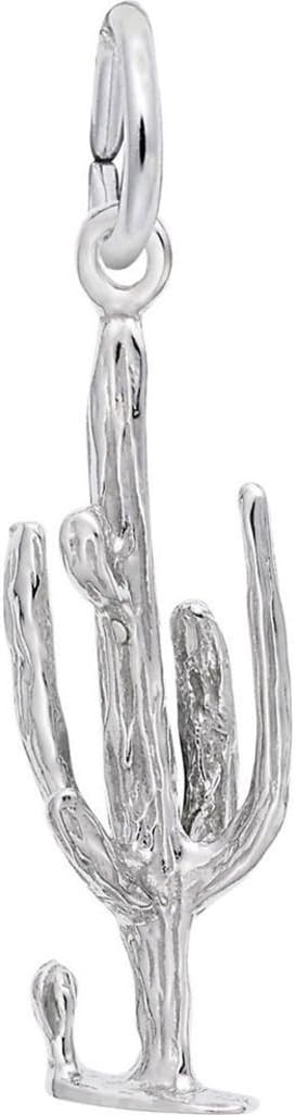 Rembrandt Cactus Charm