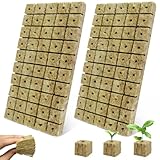 BSTDAYEVER Cubos De Lana De Roca Cubos De Cultivo Hidropónicos 100pcs Cultivo Hidropónico sin Suelo 2.5x2.5x3cm Bloque de Lana de Roca Buena Transpirabilidad para Siembra Plantación Hidropónica