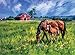 Buffalo Games - Near and Dear - 1000 Piece Jigsaw Puzzle for Adults Challenging Puzzle Perfect for Game Nights - 1000 Piece Finished Size is 26.75 x 19.75