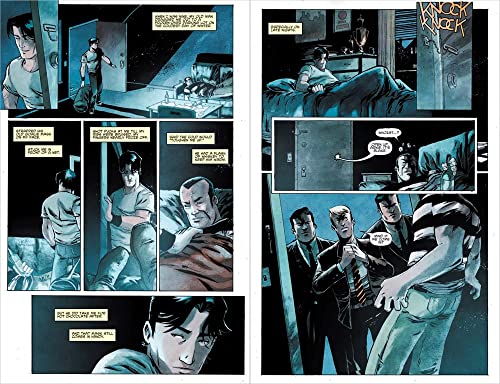 Teenage Mutant Ninja Turtles: The IDW Collection Volume 2