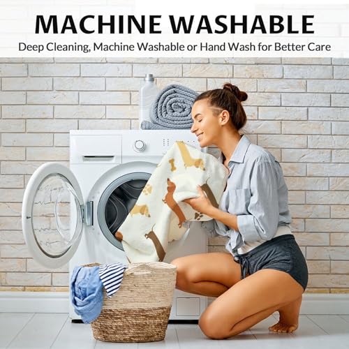 Dachshund Throw Blanket for Women, Men - 60x80 Inches Twin Size - Soft Fluffy Cozy Blankets Gift - Beige Cute Blanket Throws for Bed, Sofa, Winter