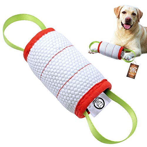 Why Does My Dog Nibble On Toys at Clara Mann blog