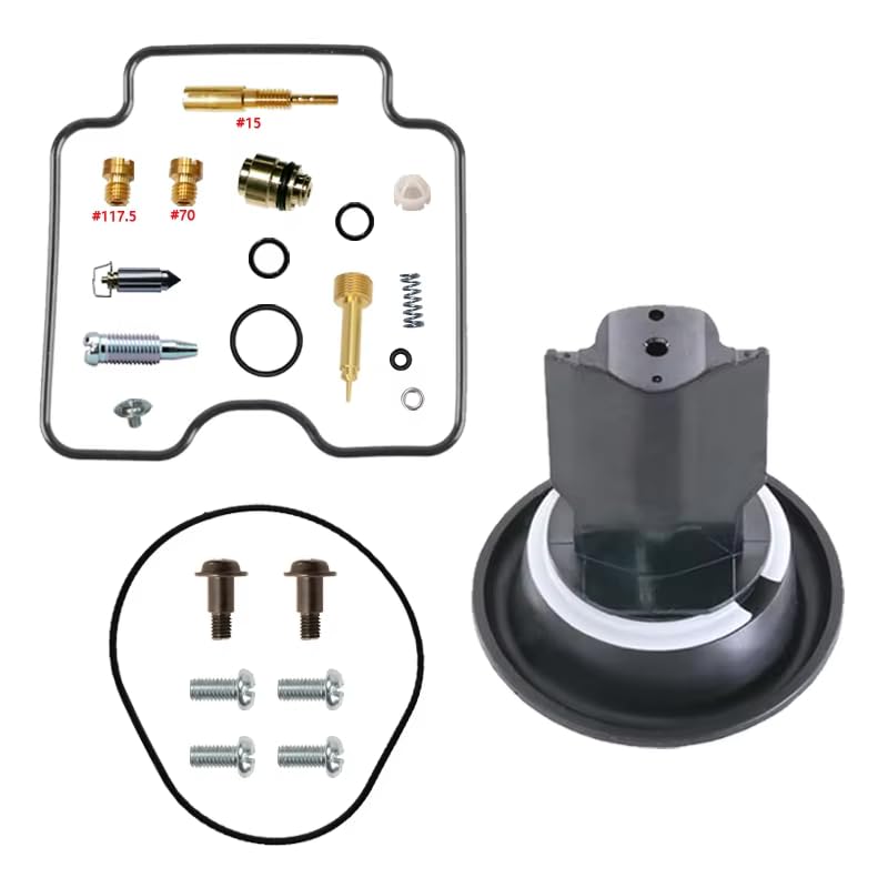 Kit carburateur LT-F300 à diaphragme flottant haute résistance pour quad 300 cc