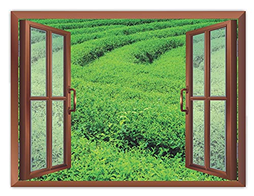 Image of CVANU Attractive View of Green pairies in a Sunny Day Removable Faux Window Wall Sticker /Decals for Living Room etc Cv 34