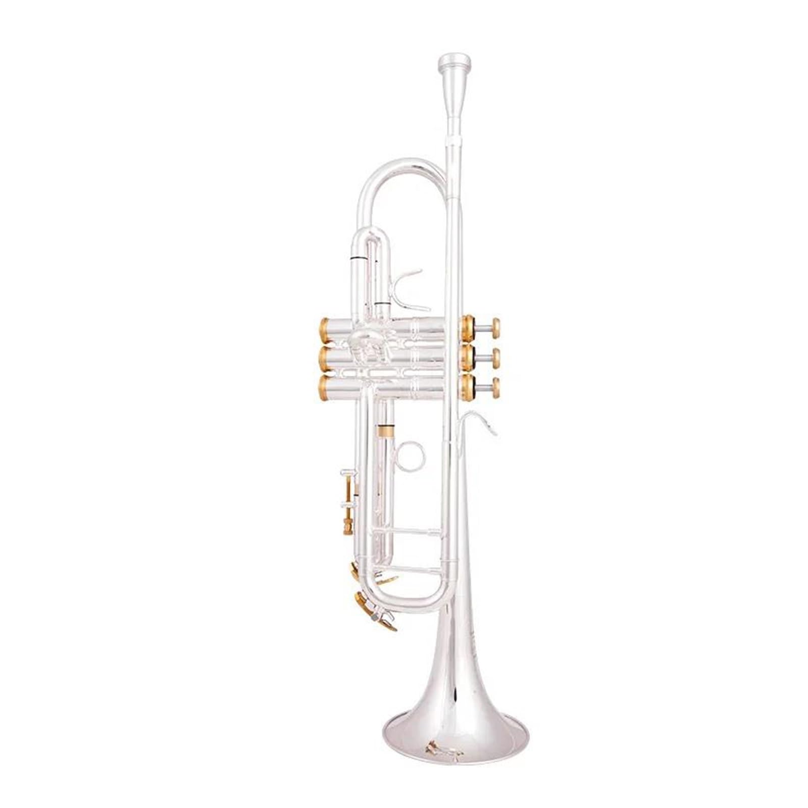 trąbka instrument Wysokiej jakości trąbka Bb mosiężne instrumenty muzyczne posrebrzana trąbka Bb z etui na rękawiczki z ustnikiem (Color : 01)