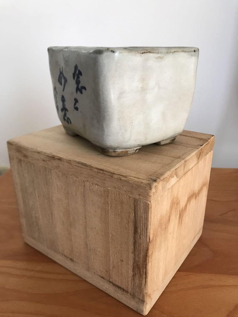 東福寺　植木鉢　落款有り　ナマズ柄 Amazon.co.jp: 東福寺 鉢 染付鯰絵正方 : ホーム＆キッチン