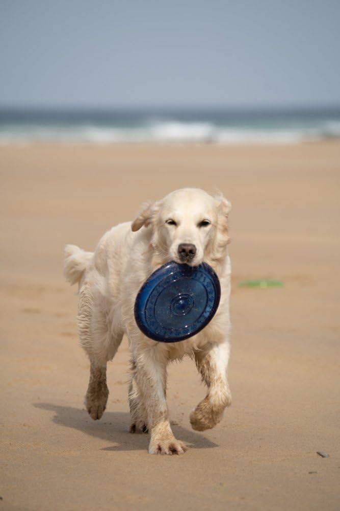 Petface Toyz gumowa zabawka dla psa frisbee - kolor może się różnić