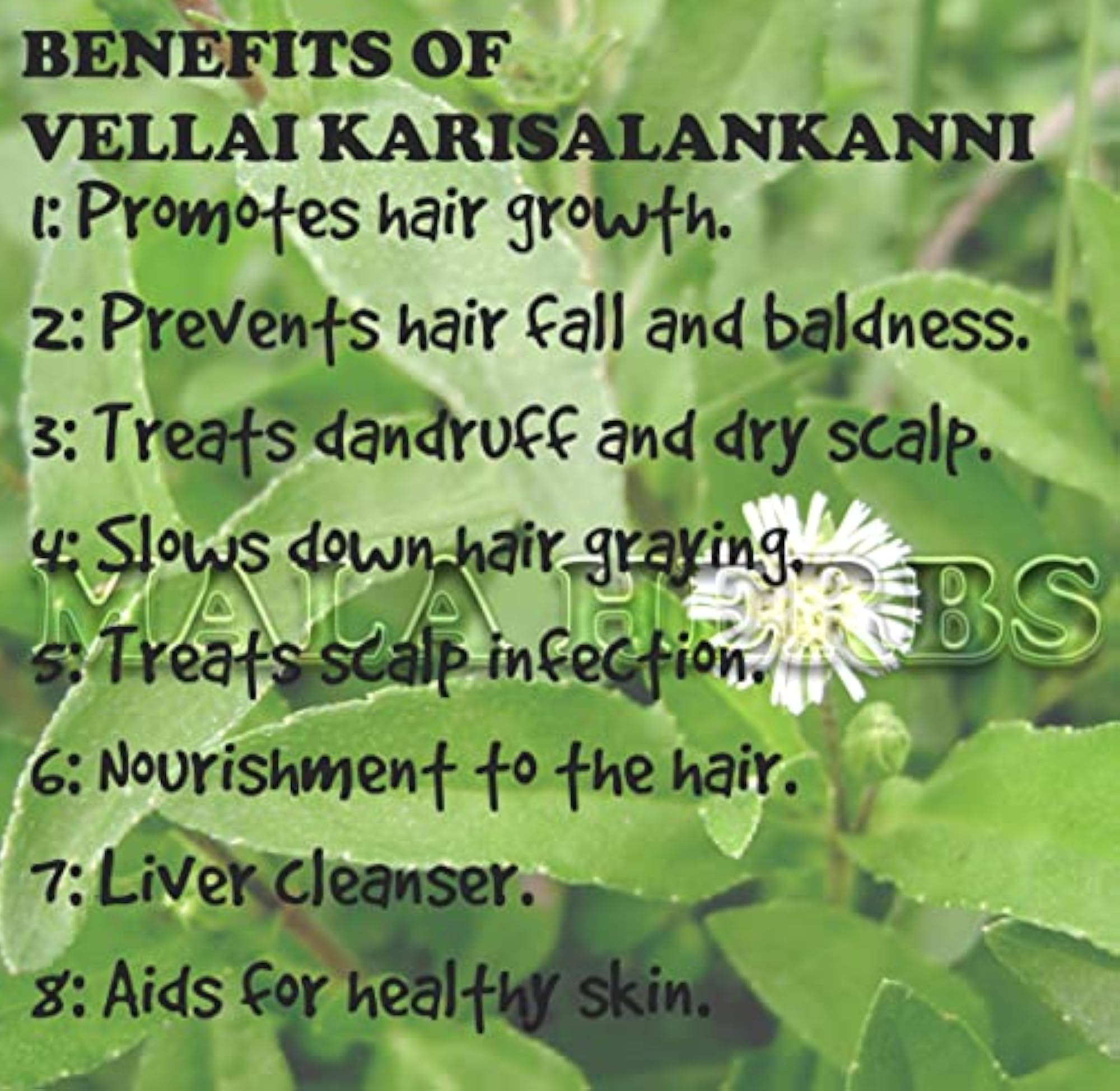 Karisalankanni Powder 250g, Natural Hair Treatment