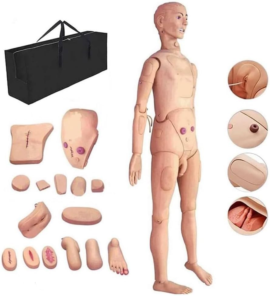 Life Size Nursing Training Manikin with Multi-Functional Anatomy and Wound Modules for CPR and Caregiver Skills Practice