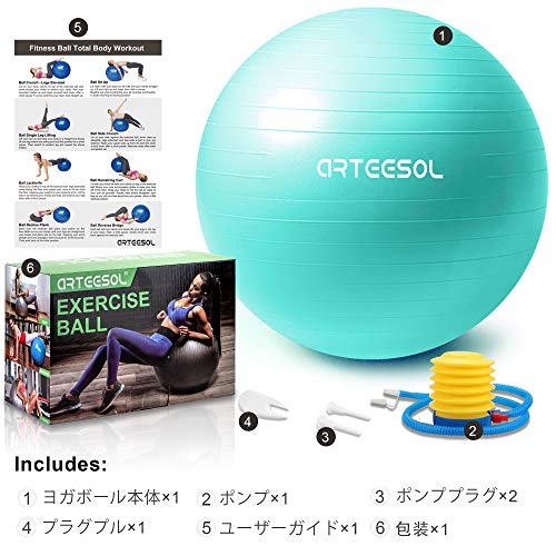 バランスボールで在宅勤務を快適に おすすめバランスボールとトレーニング方法
