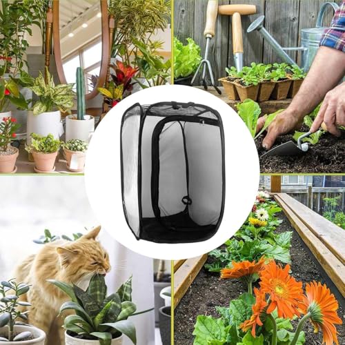 Vivero de mariposas portátil para proteger orugas en árboles frutales 5