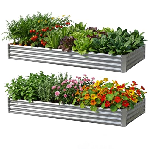 Reachible 2Packs 6X2X1 FT Galvanized Raised Garden Beds Outdoor, Planter Raised Beds for Gardening, Vegetables, Flowers, Large Metal Garden Box, Deep Plant Flower pots Outdoor