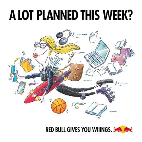 Red Bull Energy Drink Sugar Free, 250 ml (Pack of 12)