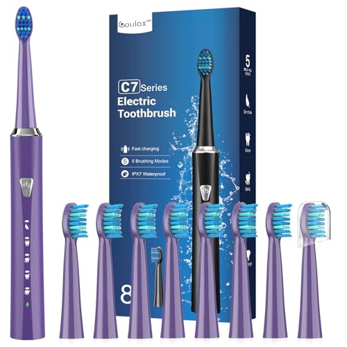 Sonic Electric Toothbrush, Rechargeable, 8 Brush Heads, 5 Modes