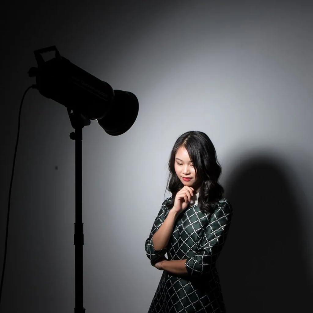 7inch/ 18cm Standard Reflector Diffuser Lamp Shade Dish 55 Degree