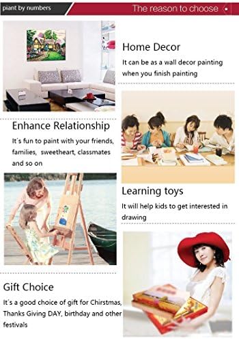 iCoostor Wooden Framed Paint by Numbers DIY Acrylic Painting Kit for Kids & Adults Beginner  16 x 20 Four Color Cat Pattern with 3 Brushes & Bright Colors