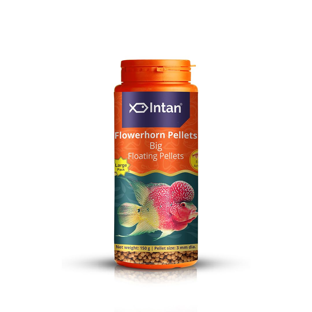 See full amazon price history chart for Growel Intan Flower Horn Pellets (Big 3.0mm Floating) | 150gm - Highly Nutritious Ornamental Fish Food for Flowerhorn & Kamfa Growel Intan Flower Horn Pellets (Big 3.0mm Floating) | 150gm - Highly Nutritious Ornamental Fish Food for Flowerhorn & Kamfa (B0C7PCSYRX) Amazon Price History, Amazon Price Tracker