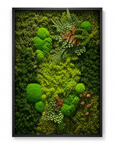 Unique Moss Wall Art - Preserved Moss Art - Green Wall - Botanical Moss Garden - Home Decor - Office Decor - Wall Hanging - Made in USA (40 x 20) Black