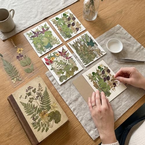 Flores y hojas secas para manualidades 110+ piezas miniatura 7