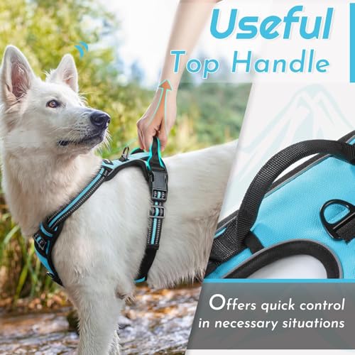 Image of Eagloo Dog Harness for Small Dogs, No Pull Pet Vest with 2 Leash Clips