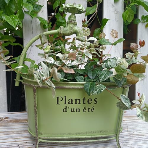 Pots de fleurs ovales en fer rouillé pour décoration de jardin - 7