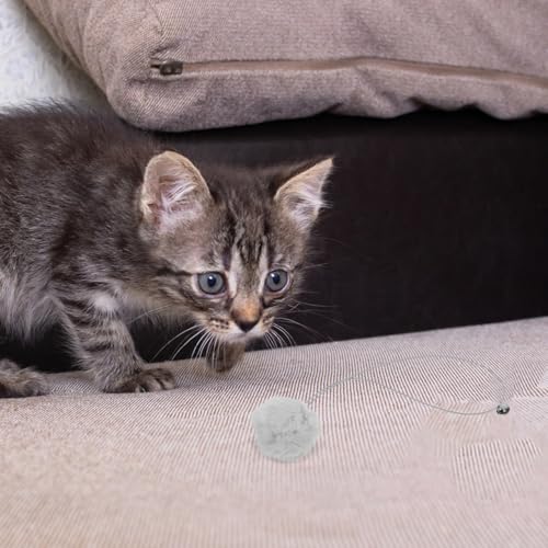 Balle pour arbre à chat interactive pour remplacer les jouets usés - 7