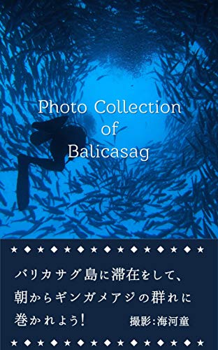 PDFダウンロード Photo Collection of Balicasag: バリカサグ島に滞在をして、朝からギンガメアジの バイ