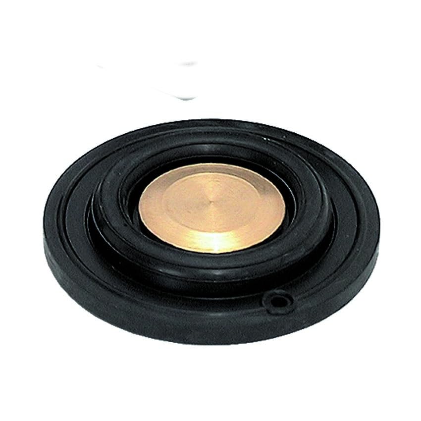 Membrana de alta calidad para electroválvulas de Viton de 1