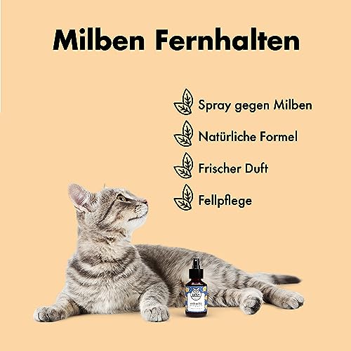 CATLY Anti Milben Katzenspray mit rein natürlichen Inhaltsstoffen - auch als Flohmittel Katzen Spray gegen Jede Art von Parasiten, Grasmilben Schutz & Katzen Flohmittel, Ohrmilben Katzenspray - 100ml