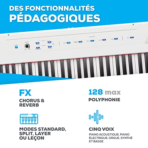 ALESIS RECITAL piano numérique 88 touches semi-lestées avec enceinte intégrées et cours gratuits & Classic Cantabile… - Les Beatles, Paul McCartney, John Lennon, RIngo Starr, George Harrison ALESIS RECITAL piano numérique 88 touches semi-lestées avec enceinte intégrées et cours gratuits & Classic Cantabile… – Image 5