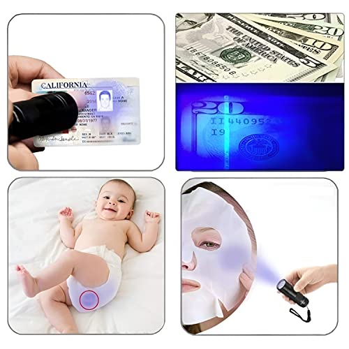 JacobsParts-UV-Flashlight-Black-Light-Handheld-Inspection-Blacklight-12-Led-395nm-Mini-Light-Torch-for-Dog-Pet-Urine-Stains-Bed-Bugs-Detector-and-Scorpions
