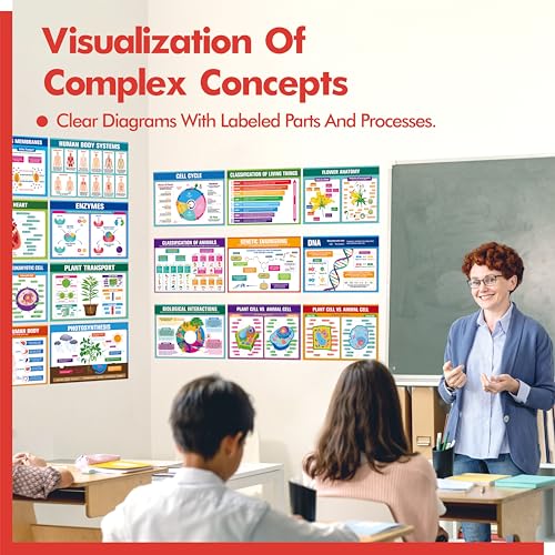 Image of 17 Laminated Biology Posters, Human Body System, Cell Anatomy, DNA, Photosynthesis, Educational Science Charts For Middle & High School, Learning Tool For Classroom, Bulletin Board, Room, 11 inchx16 inch