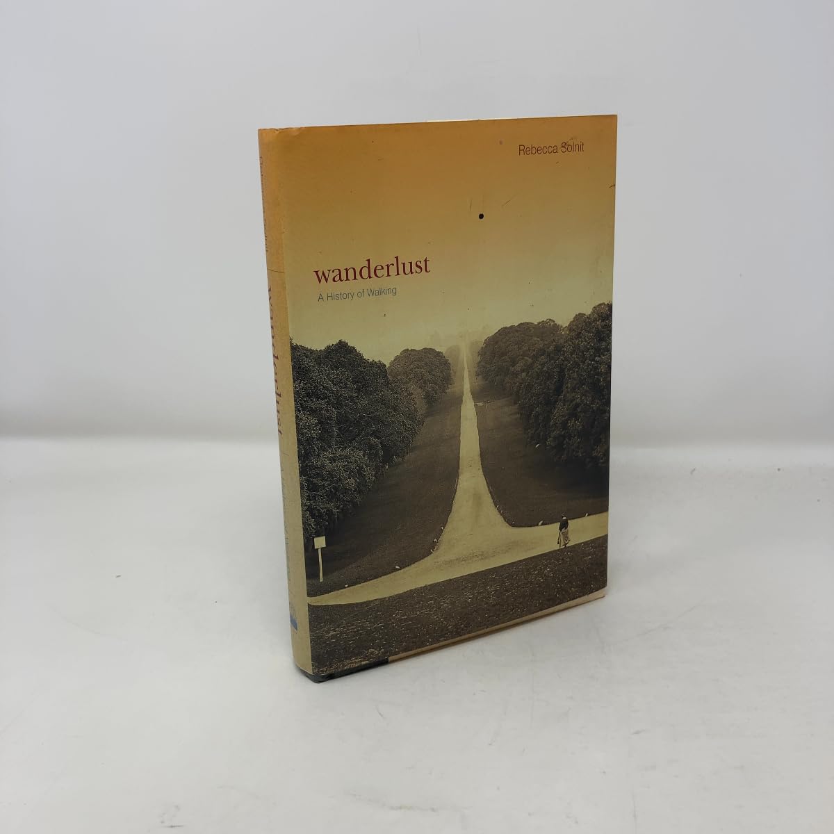 Wanderlust: A History of Walking - Image 8