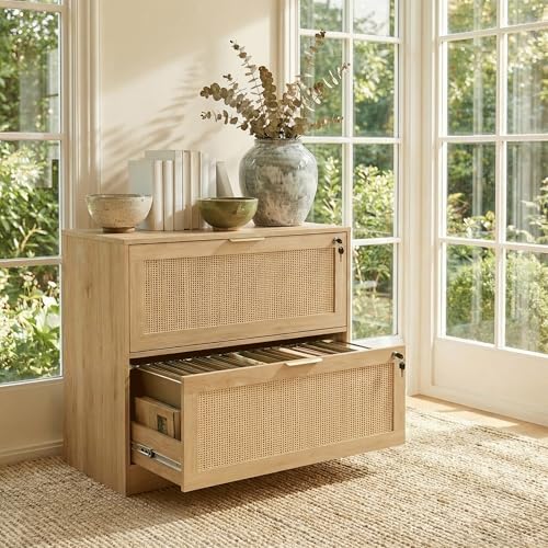 Lateral File Cabinets for Home Office, 2 Drawer Filing Cabinet