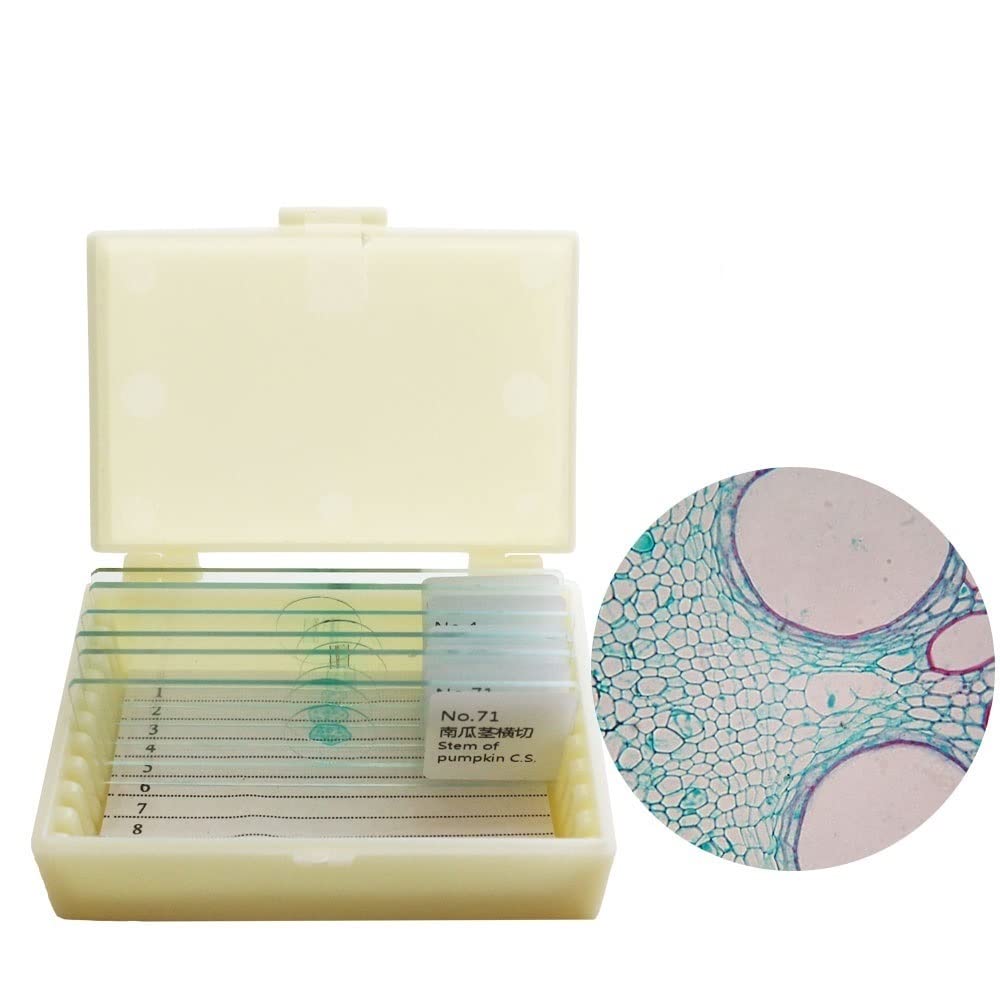 Kit di accessori per microscopio Vetrini for campioni di microscopio da 10 pezzi / 20 pezzi for l'educazione alla biologia scientifica del laboratorio di base degli studenti Vetrini per microscopio(10