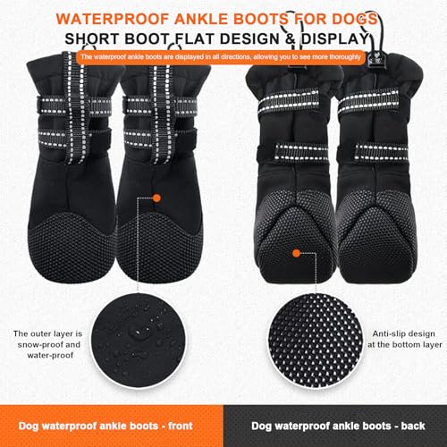 Bottes pour chien : protégez ses pattes pour partager chaque instant