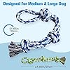 Strong Dog Rope Toys for Endless Play