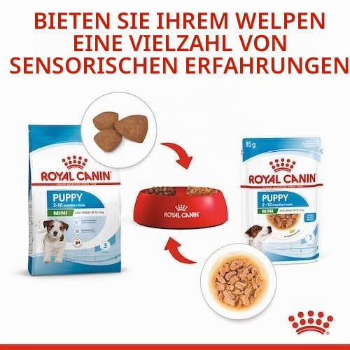 ROYAL CANIN Mini Puppy | Doppelpack | 2 x 12 x 85 g | Nassfutter für kleine Hundewelpen | Bis zum 10. Lebensmonat | Feine Stückchen in Soße | Weiche Textur für die Milchzähne