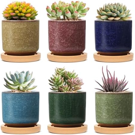 Yardwe Vaso Sospeso In Ceramica Forma Di Bradipo – Fioriera Per Piante Grasse E Bonsai, Decorazione Originale Per Casa E Giardino