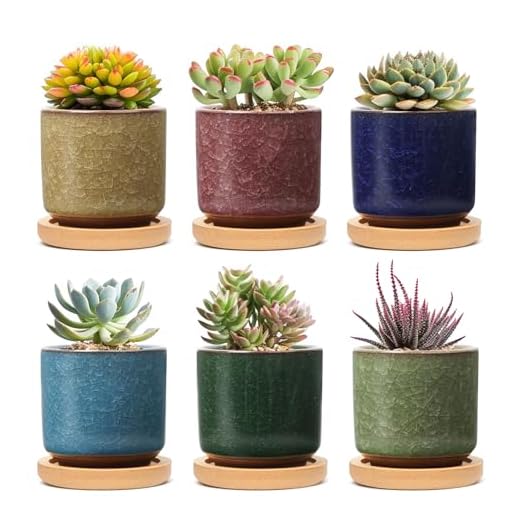 T4U 6cm Ceramica Vasi di Piante Grasse, Sollevato Seriale Succulento Vaso, Mini Cactus Cachepot, Crepa di Ghiaccio Fiori Piantatore, Pacchetto di 6 Colorati Bonsai Contenitore con Vassoi di Bambù