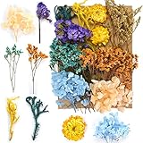 Disnace Natürliche Getrocknete Blumen, Blumen Natürliche Gemischte, DIY Natürliche Trockenblumen Set für Kunst Basteln DIY Epoxidharz Formen, Scrapbook Zubehör Karten Machen, gelb+blau